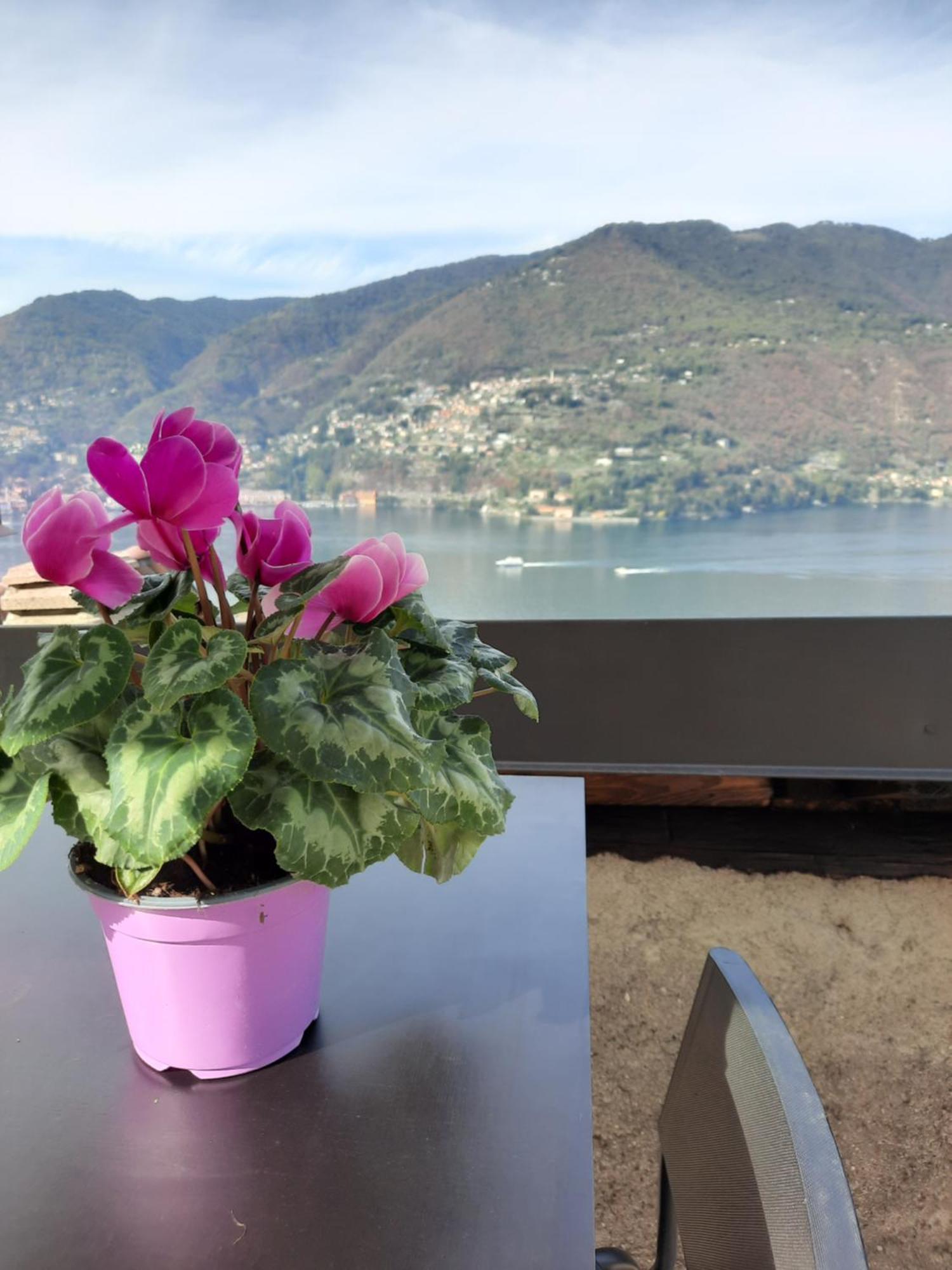 Luxury Room La Terrazza Sul Lago Di Como Blevio Dış mekan fotoğraf
